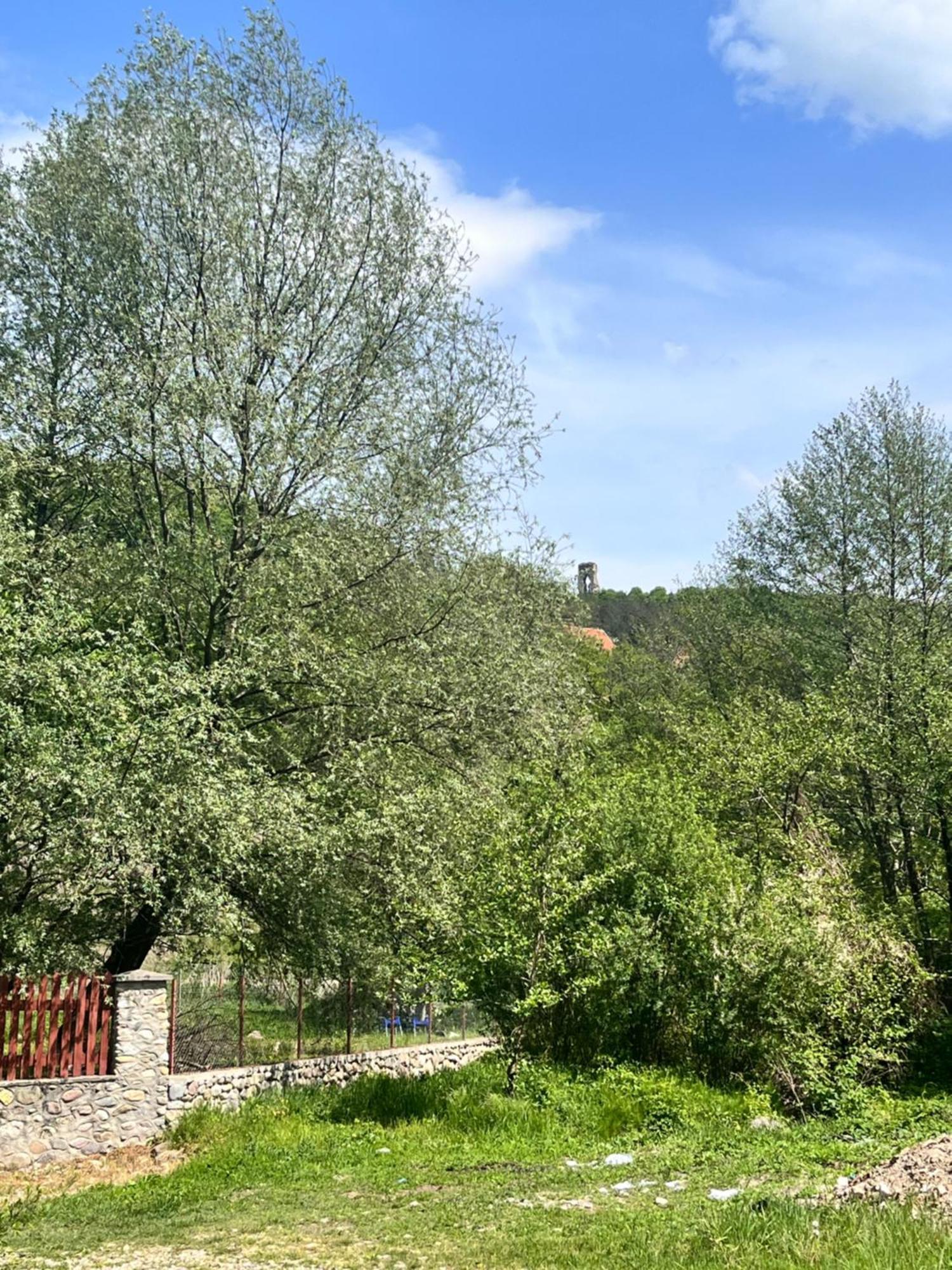 La Gradina Hotel Mehadija Exterior photo