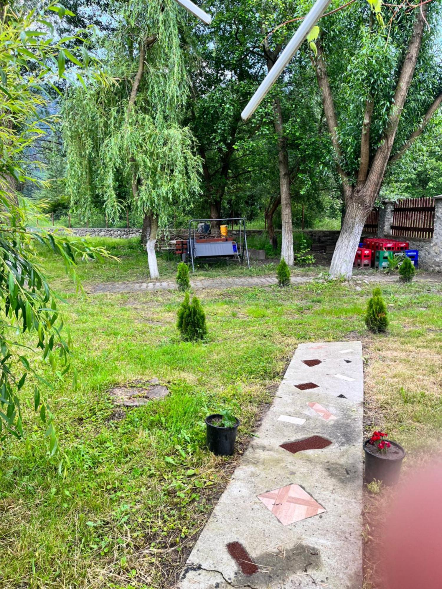 La Gradina Hotel Mehadija Exterior photo